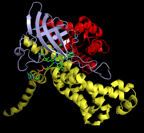 4-Hydroxyphenylacetate 3-monooxygenase